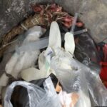 img-20260408-wa00207401313220739630641