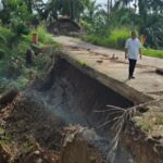 Jalan Penghubung Kecamatan Lubu Sutam Padang Lawas Longsor, Ratusan Ton Kelapa Sawit Terancam Tak Bisa Diangkut img-20260409-wa00904923635938747289131
