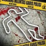 img-20260412-wa01044991797708246084944