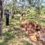 Di Duga Irigasi Terancam Jebol..Ratusan Hektar Sawah Terancam Kekeringan img-20260422-wa00323835439658314681409