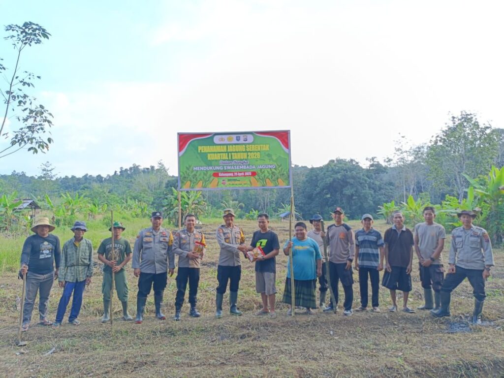 POLSEK KALUMPANG GELAR PENANAMAN JAGUNG PIPIL KUARTAL I BERSAMA KELOMPOK TANI MANGGUPIL