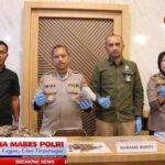 Lindungi Sumber Daya Alam Hayati Dan Ekosistem, Polres Padang Sidempuan Sita Dua Karung Sisik Trenggiling. BackgroundEraser_20260501_134214073