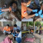 Mayat Pria Diduga ODGJ Ditemukan di Sergai, Polres Pastikan Tidak Ada Tanda Kekerasan GridArt_20260515_214617189_copy_1638x1638_copy_655x655
