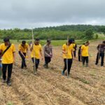 Dorong Swasembada Pangan 2026, Penanaman Jagung Tahap Kedua Desa Kenaman Digelar di Lahan TPKK