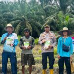 #Swasembada Pangan kalsel#ketahanan Pangan Kalsel#Poldakalsel #Swasembada Pangan kalsel#ketahanan Pangan Kalsel#Poldakalsel
