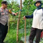 Bhabinkamtibmas Arab Kenangan Monitoring Ketahanan Pangan Warga, Dukung Program Swasembada**