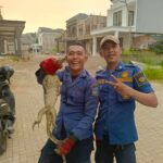 Tim Rescue Damkar Kota Tangsel Evakuasi Seekor Biawak Sembunyi di Mesin Mobil Warga Perumahan The View Bintaro IMG-20260511-WA0076
