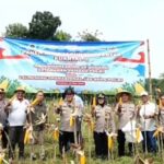 Kapolres Cirebon Komitmen Mendukung Program Swasembada Pangan Nasional Panen Raya Jagung.