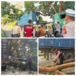 Respon CEPAT Satlantas dan Samapta Polres Cianjur Tangani Truk Kontainer Tersangkut Dahan Pohon IMG-20260519-WA0152