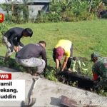 *Babinsa Koramil 1419-02/Enrekang Bersama Warga Gotong Royong Bersihkan Drainase di Pakkalarian* IMG-20260524-WA0041