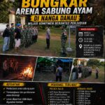 Polsek Kalis dan Koramil Kalis Bongkar Arena Sabung Ayam di Nanga Danau, Wujud Komitmen Berantas Perjudian