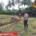 *Sinergi di Sawah, Bhabinkamtibmas Desa Kalabeso Pantau Aktivitas Tanam Padi Warga*