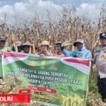 *Polsek Poso Pesisir Utara Sambangi Perkebunan Warga di Bakti Agung, Dukung Ketahanan Pangan dan Pererat Kemitraan*