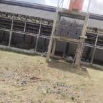 Diduga Abaikan Kesehatan Masyarakat & Langgar Aturan, Izin Kandang Ayam Hanya dari Kepala Desa Disorot. 