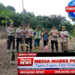 *Upaya Nyata Polsek Pamona Utara Mendukung Program Ketahanan Pangan, Tanam Jagung Hibrida di Tendeadongi* IMG_20260529_121503