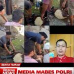 Semangat Kebersamaan Warnai Idul Adha 1447 H di Kampung Kunir, Warga Kompak Gelar Kurban di Masjid Al-IQlas InShot_20260527_154540814