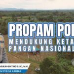 Bidpropam Polda Kalbar bersama Polres Bengkayang Panen Raya Jagung, Polri dan Masyarakat Perkuat Swasembada Pangan Nasional