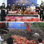 Bareskrim Polri Musnahkan Ribuan Kilogram Bawang Impor Ilegal dari Jalur Tikus Perbatasan Malaysia