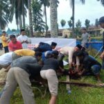 Momentum Idul Adha, Polres Palas sembelih 7 ekor sapi dan 1 ekor kambing img-20260528-wa01091529559079330969866