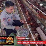 Bhabinkamtibmas Polsek Campaka Sambangi Peternak di Desa Cimahi, Dukung Ketahanan Pangan AIFoto_20260624_234145670