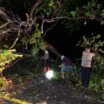 Respon Cepat, Polsek Embaloh Hulu Bersama Warga Bersihkan Pohon Tumbang di Jalan Lintas Utara Desa Temao