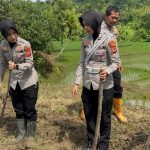 *Satlantas Polres Kuningan Bersinergi dengan Dinas Pertanian Pantau Ketahanan Pangan di Desa Cibulan* IMG-20260620-WA0029