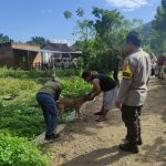 Cegah Penyebaran Penyakit pada Hewan, Bhabinkamtibmas Telaga Bertong Aktif Dampingi Program Vaksinasi Puskeswan IMG-20260623-WA0116