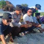Jaga Kelestarian Ekosistem Laut, Bhabinkamtibmas Ikut Pelepasan Tukik di Pantai Mawil IMG-20260624-WA0088