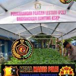 *Dukung Ketahanan Pangan, Polsek KSKP Polres Dumai Pantau Perkembangan Tanaman Jagung Petani* IMG_20260617_170553