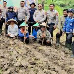 *SAT LANTAS POLRES KUNINGAN BERSAMA KELOMPOK TANI DESA CIBULAN OLAH LAHAN UNTUK PROGRAM KETAHANAN PANGAN 2026* img-20260614-wa00761928822486958080947
