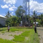 Perkuat Ketahanan Pangan, Bhabinkamtibmas Desa Ngeru Dampingi Petani Padi di Dusun Kalijaga img-20260616-wa00611502585949145778642