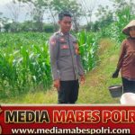 Dukung Program Asta Cita Presiden RI, Bhabinkamtibmas Desa Mokong Sambangi Petani di Persawahan