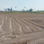 Kegiatan Pemanpaatan Lahan Tada Hujan Tambang Wujudkan Percetakan Sawah, Dukung Ketahanan Pangan Di Takalar