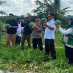 Dukung Ekonomi Maju, Kapolsek Tenggarong Hadiri Kegiatan Panen Buah Semangka dan Melon*