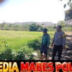 Dukung Ketahanan Pangan Nasional, Bhabinkamtibmas Desa Pemasar Tinjau Langsung Perawatan Sawah Warga
