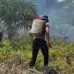 kapolsek Samboja Bergerak Cepat adanya informasi kebakaran di lahan masyarakat kilo Meter 48.