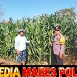 Tinjau Lahan Warga, Bhabinkamtibmas Desa Rhee Dorong Penguatan Ketahanan Pangan Mandiri