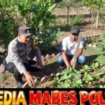 Dukung Ketahanan Pangan Nasional, Bhabinkamtibmas Kelurahan Brang Biji Sambangi Petani dan Ajak Manfaatkan Pekarangan