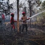 Polres Melawi Bersama BPBD, Manggala Agni, dan Masyarakat Terus Berupaya Padamkan Karhutla di Desa Nusa Kenyikap