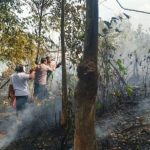 Sinergi Polsek Sangasanga Bersama TNI, Damkar dan Relawan Tangani Karhutla di Kelurahan Pendingin, Luas Lahan Terbakar Diperkirakan 50 Hektare