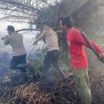 Karhutla di Pendingin Sanga Sanga, Petugas Gabungan Bergerak Padamkan Api.