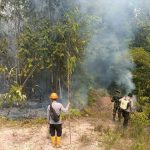 Sinergi Polsek Hulu Gurung dan Koramil 1206-14/ Hulu Gurung Padamkan Karhutla di lahan warga IMG-20260831-WA0002