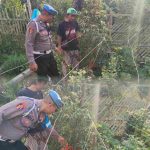 PhotoGrid_Site_1787979061600 (2)