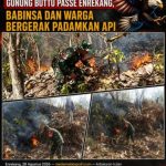 Kebakaran Hutan Melanda Gunung Buttu Passe Enrekang, Babinsa dan Warga Bergerak Padamkan Api