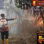 Tak Kenal Lelah, Personel Polda Kalteng Gempur Karhutla di Penjuru Kota Palangka Raya