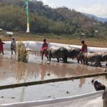 Polres Sumbawa Barat Pastikan Festival Barapan Kerbau Jereweh Berlangsung Aman dan Kondusif. IMG-20260907-WA0009