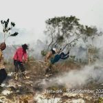 Deteksi Hotspot, Tim Gabungan Langsung Turun Tangan Tangani Karhutla di Kendawangan IMG-20260917-WA0031
