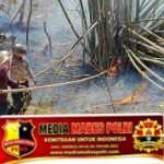 Kebakaran Lahan 7 Hektar Di Bukit Bonto Bonto, Personil Polsek Balocci Pimpin Upaya Pemadaman Manual
