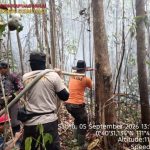 Polsek Semitau Bersama Perusahaan dan Masyarakat Lakukan Pendinginan Titik Hotspot Screenshot_2026-09-09-00-31-21-89_6012fa4d4ddec268fc5c7112cbb265e7