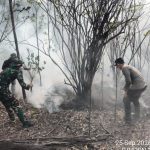 Tim Gabungan Tangani Karhutla di Kawasan TNDS Desa Pulau Majang